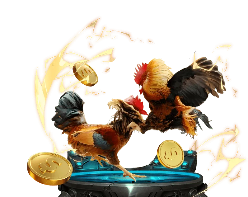 Tổng quan về đá gà trực tuyến và nền tảng mãn nhãn tv trực tiếp